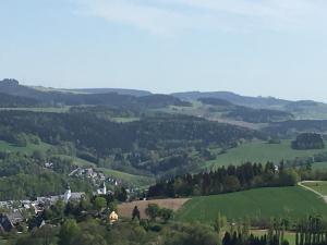 施瓦岑贝格Ferienwohnung Paul Schwarzenberg的享有带房屋和树木的绿色山谷的景致