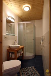 罗亚Pilava的带淋浴、卫生间和盥洗盆的浴室