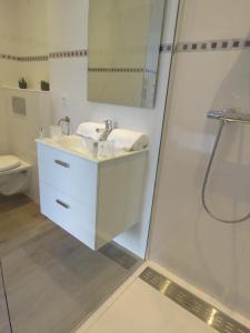 格勒诺布尔La petite Maison的白色的浴室设有水槽和淋浴。