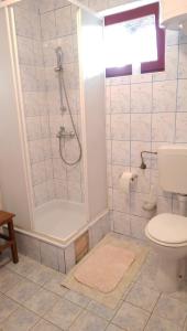 卢卡瓦克Apartman Knezevic的带淋浴和卫生间的浴室