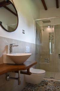 巴尔贝里诺瓦尔德尔萨Villa San Michele的一间带水槽、卫生间和镜子的浴室