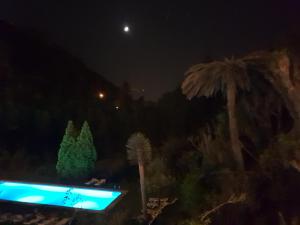 辛特拉辛特拉花园酒店的棕榈树的泳池景