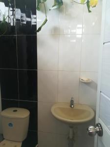 巴亚索拉诺Posada El Acuario的一间带卫生间和水槽的浴室