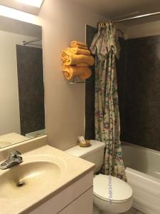 坎卢普斯骑士汽车旅馆的一间带水槽、卫生间和镜子的浴室