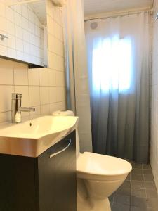 莫拉Vasa Ski Lodge的浴室配有卫生间、盥洗盆和淋浴。