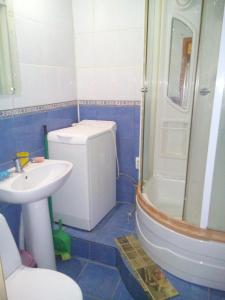切尔尼戈夫Apartment on Prospekt Peremogi的一间带水槽、卫生间和淋浴的浴室