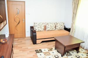 Sibiu Travel Apartment的休息区