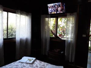 卡维塔Cabinas Nirvana Ecolodge的一间卧室配有一张床,两个窗户配有电视