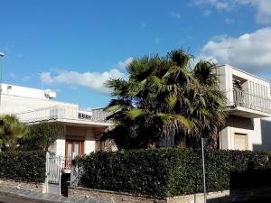 马利耶Villa Lazzari B&B Tra i due Mari的白色房子前面的棕榈树