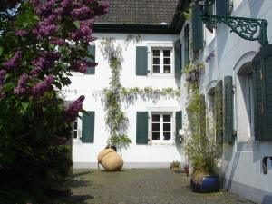 勒沃库森Rhein River Guesthouse - direkt am Rhein的白色的房子,有绿色百叶窗和紫色的鲜花