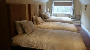基拉尼killarney retreat的一间卧室设有两张床和窗户。