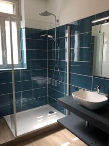 卡尔卡松Apartment La Terasse的带淋浴、盥洗盆和镜子的浴室
