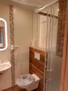 克拉根福瓦豪旅馆的带淋浴、卫生间和盥洗盆的浴室