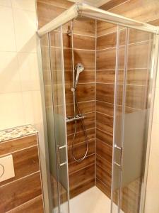 克拉根福瓦豪旅馆的带淋浴的浴室(带木墙)