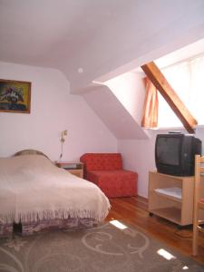 埃格尔Burg Eger的一间卧室配有一张床、一张沙发和一台电视。