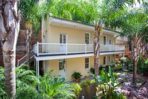 新奥尔良多菲内新奥尔良酒店的棕榈树房屋的空中景致
