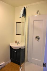 哈迪港特雷尔北海岸背包客青年旅馆的一间带水槽和淋浴的浴室