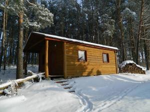 姆拉哥沃Domek na Mazurach Mrągowo的雪中小木屋,有树木