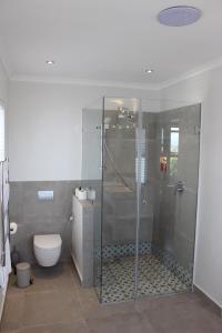 赫曼努斯鲸鱼岩豪华旅舍的一间带玻璃淋浴和卫生间的浴室