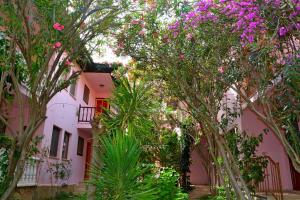 达利安Villa Poseidon的粉红色的建筑,有树木和粉红色的花朵