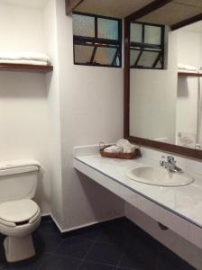瓦斯卡坎波里尔华斯卡酒店的一间带水槽、卫生间和镜子的浴室