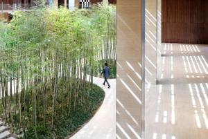 北京北京望京凯悦酒店的一座建筑的一边,有竹树的花园