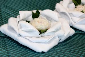 罗夫诺旅游酒店的坐在绿桌前的白色花