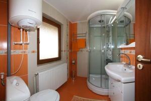 穆里吉奥尔Casa Nicu Murighiol的带淋浴、卫生间和盥洗盆的浴室