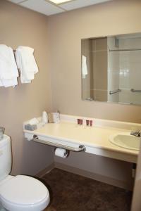 LakotaSunlac Inn Lakota的一间带卫生间、水槽和镜子的浴室
