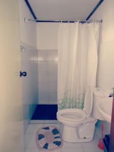 圣维森特Glorias Green House的一间带卫生间和淋浴的浴室