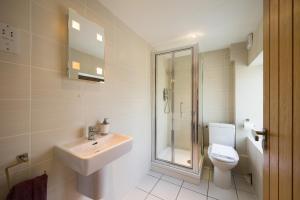 Blewbury爱施布鲁克莱茨公寓的浴室配有卫生间、盥洗盆和淋浴。