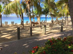 克拉伦代克Harbour Village Beach Club的海滩上,有椅子和棕榈树,还有大海