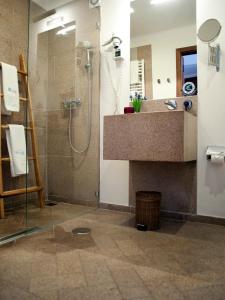 马尔旺Dom Dinis Marvão的带淋浴、盥洗盆和镜子的浴室
