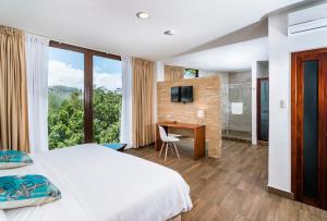 阿约拉港Hotel La Isla的一间卧室配有一张床和一张书桌及电视