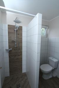 科马罗姆Ilona Apartmanház的一间带卫生间和淋浴的小浴室