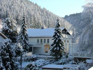 维林根Altes Doktorhaus - Hotel Garni的山前有雪覆盖的树木的建筑