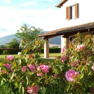 斯佩洛Podere Le Volte degli Angeli的一座房子前面的灌木丛,上面有粉红色的玫瑰花