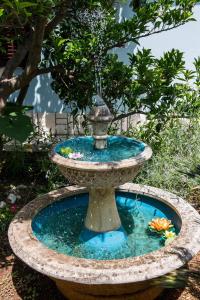 木洛希尼Star的花园内带喷泉的鸟浴