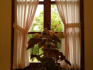 Lomeña费德拉旅馆的窗帘窗前的植物