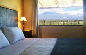 图蓬加托火山特浦盖托迪维努山林小屋的一间卧室设有一张床和一个大窗户