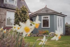 阿博因Firhurst的院子里白色花的灰色房子