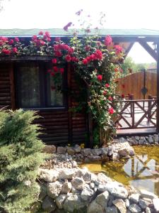维尔蒂尼克Rajski vrt的一座花园,在一座建筑和池塘上种着玫瑰