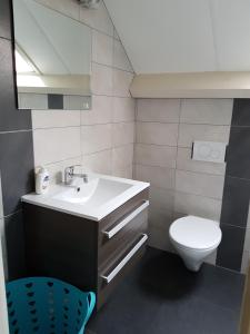 LieshoutDe Boerebeemd的一间带水槽和卫生间的浴室