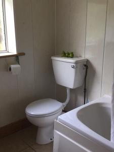法尔卡拉teach donal og的浴室配有卫生间、盥洗盆和浴缸。