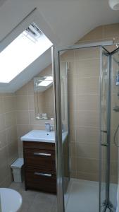 LochranzaButt Lodge的带淋浴、盥洗盆和镜子的浴室