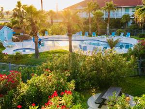 阿兰瑟斯港阿兰瑟斯港戴斯酒店的享有棕榈树和鲜花的游泳池的景色