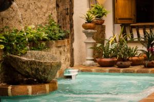 麦德林德尔雷洛约公寓式酒店的一座拥有喷泉和盆栽植物的游泳池