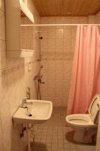 蓬卡哈尤蓬卡哈尔尤酒店的一间带水槽和卫生间的浴室