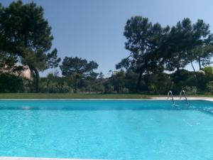 特罗亚Casa das Dunas Soltroia的一个蓝色的海水和树木背景的游泳池