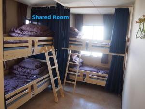 甲府索诺马马酒店的宿舍间设有三张双层床。